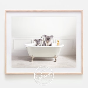 Könnte beinhalten: Gerahmter Druck mit zwei Koalas in einer weißen Badewanne mit Löwenfüßen und einer gelben Quietscheente. Die Koalas sind grau und weiß, und das Badezimmer hat eine weiße Wand und einen weißen Boden. Der Druck ist in einem hellen Holzrahmen.
