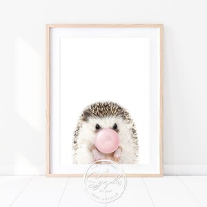 Könnte beinhalten: Ein niedlicher Igel mit einer rosa Blase im Maul. Der Igel schaut direkt in die Kamera. Der Hintergrund ist weiß.