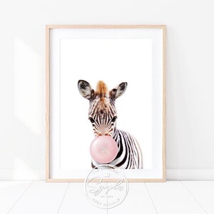 Könnte beinhalten: Ein schwarz-weißes Zebra mit einem rosa Kaugummi im Maul. Das Zebra schaut in die Kamera. Der Hintergrund ist weiß.