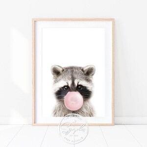 Könnte beinhalten: Ein süßes Waschbär mit einem rosa Kaugummi im Maul. Der Waschbär schaut direkt in die Kamera. Das Bild ist in einem weißen Rahmen.