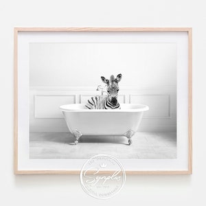 May include: Black and white framed print featuring a zebra in a clawfoot bathtub. The zebra is positioned in the center of the tub, with its head and upper body visible. The background is a minimalist white bathroom setting.