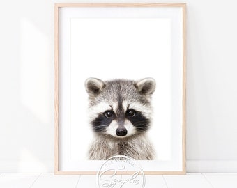 赤ちゃんアライグマのプリント、森の子供部屋の装飾、子供部屋の動物の壁アート、性別を問わない子供部屋のポスター、Synplus による赤ちゃん動物の印刷可能なアート