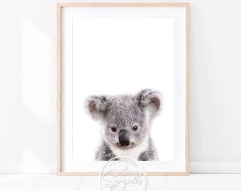 May include: A close-up of a gray koala bear with large, dark eyes. The koala is looking directly at the camera. The background is white.