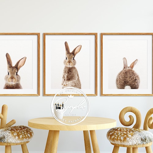 Rabbit Print Nursery Decor Rabbit Tail Baby Room Art Decor Etsy