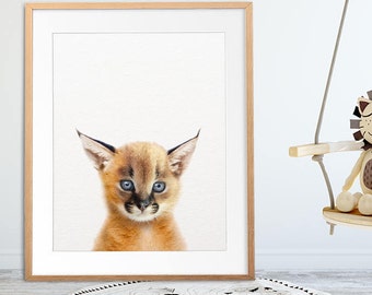 Caracal Print, Baby Caracal Wall Art, Safari African Animals