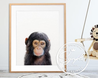 monkey themed baby room