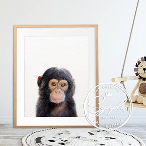 Baby Monkey Print, Nursery Decor, African Safari Animal, Baby Chimpanzee Photo, Nursery Wall Art, Cute Baby Animals, Kids Room Printable Art