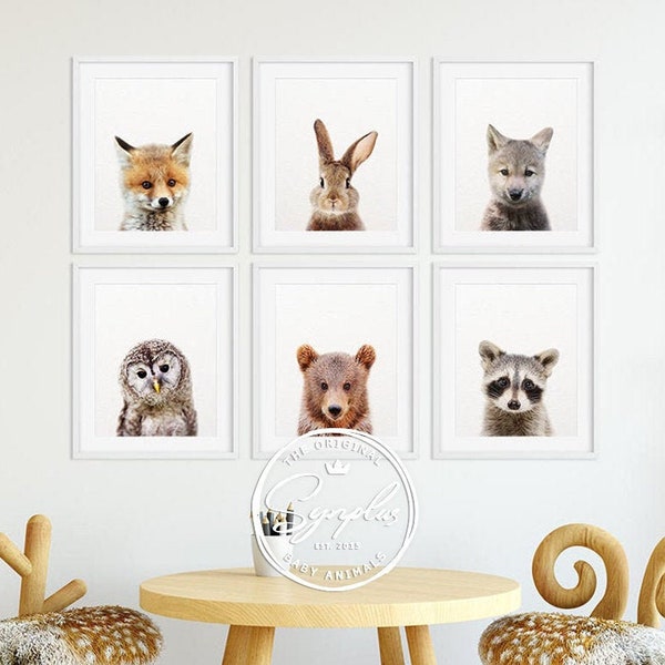 Woodland Nursery Decor, Baby Animals Set 6, Bunny Fox Bear Owl Wolf, Nursery Prints Modern Animal Art, Woodland Animals, Kids Room Printable