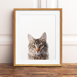 Cat Print, Baby Animal Prints, Kitten Print, Nursery Art, Farm Animals, Domestic Animal, Nursery Wall Art, Nursery Decor, Kids Printable Art