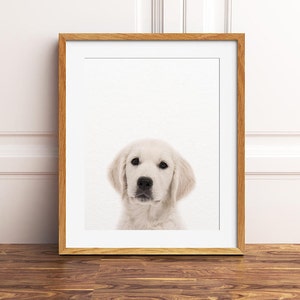 Dog Print, Baby Animal Art, Puppy Print, Nursery Art, Golden Retriever Print, Nursery Animal, Nursery Wall Art, Nursery Decor, Printable Art