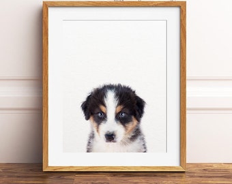 Dog Print, Baby Animals Art, Australian Shepherd Puppy Print, Nursery Art, Baby Animal Prints, Nursery Wall Art, Nursery Decor,Printable Art