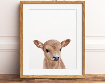 Calf Print, Baby Cow Print, Farm Animals Art Print, Baby Animals, Nursery Decor, Nursery Wall Art, Baby Animal Prints, Kids Printable Art