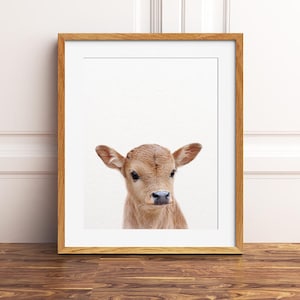 Calf Print, Baby Cow Print, Farm Animals Art Print, Baby Animals, Nursery Decor, Nursery Wall Art, Baby Animal Prints, Kids Printable Art