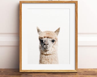 Alpaca Print, Nursery Decor, Llama Print, Nursery Wall Art, Farm Animals Art Print, Baby Animal Prints, Nursery Art, Kids Room Printable Art