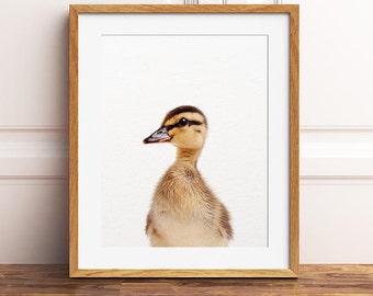 保育園のアート、アヒルの子のプリント、赤ちゃん動物の壁アート、アヒルの子の写真、保育園の装飾、保育園の壁アート、赤ちゃんアヒルの子のプリント、動物の印刷物