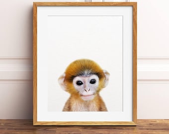 Baby Monkey Print, Jungle Animal Color Photo, Nursery Animal Wall Art, Safari Decor, Cute Baby Monkey Print, Kids Room Prints, Printable Art