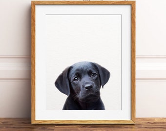 Dog Print, Puppy Lab Print, Baby Animals, Nursery Decor, Black Labrador Retriever Print, Animal Art, Nursery Wall Art, Kids Printable Art