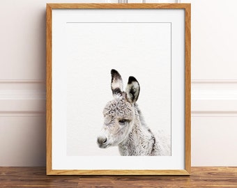 Donkey Print, Baby Donkey Art, Nursery Decor, Baby Animals Art, Baby Animal Prints, Nursery Wall Art, Farm Animal Prints, Kids Printable Art
