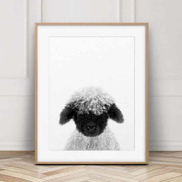 Lamb Print, Nursery Decor, Cute Lamb Print, Blacknose Lamb, Farm Animal Prints, Black White Sheep, Nursery Wall Art, Kids Room Printable Art