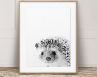 Hedgehog Print, Nursery Animal Wall Art, Woodland Animal Print, Black & White, Baby Animals, Nursery Decor, Kids Room Prints, Printable Art