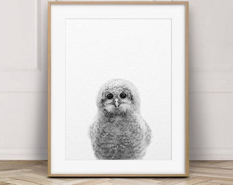 Baby Owl Print, Nursery Wall Art, Nursery Art, Woodland Animals Print, Black & White Nursery Decor, Baby Animal Prints, Kids Printable Art