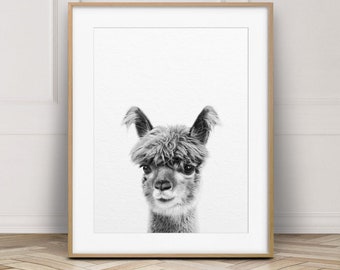 Alpaca Print, Nursery Wall Art, Llama Print, Baby Alpaca, Black & White, Baby Animal Prints, Farm Animals, Nursery Decor, Kids Printable Art