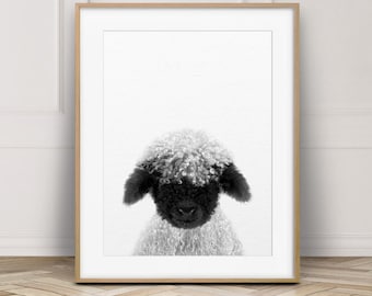Lamb Print, Nursery Decor, Cute Lamb Print, Blacknose Lamb, Farm Animal Prints, Black White Sheep, Nursery Wall Art, Kids Room Printable Art