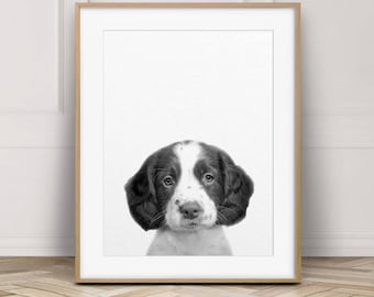 Dog Print, Baby Animal Prints, Puppy Print, Baby Spaniel Print, Printable Nursery Art, Black White Animals, Nursery Wall Art, Nursery Decor