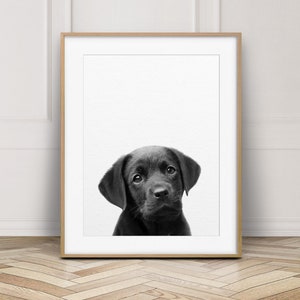 Puppy Lab Print, Baby Animals, Dog Print, Nursery Decor, Black Labrador Print, Black And White, Nursery Animal Wall Art, Kids Printable Art