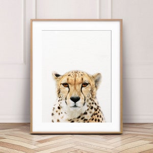チータープリント、チーターウォールアート、チーター写真、サファリアフリカ動物、保育園アート、サファリ動物、保育園の装飾、子供部屋の印刷可能なアート