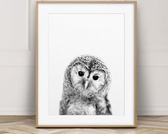 Owl Print, Nursery Wall Art, Baby Owl Photo, Woodlands Nursery Animal, Nursery Decor, Black & White, Baby Animal Prints, Kids Printable Art
