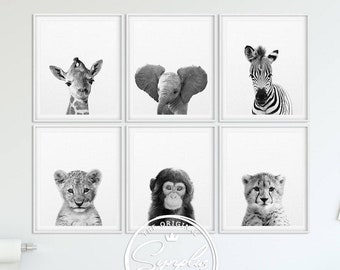 Safari Nursery Decor, Black White Baby Animals Set 6, Zebra Giraffe Lion Print, Modern Nursery Wall Art, Safari Animal Prints, Printable Art