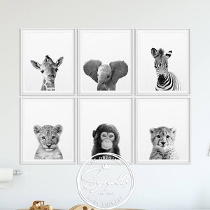 Safari Nursery Decor, Black White Baby Animals Set 6, Zebra Giraffe Lion Print, Modern Nursery Wall Art, Safari Animal Prints, Printable Art