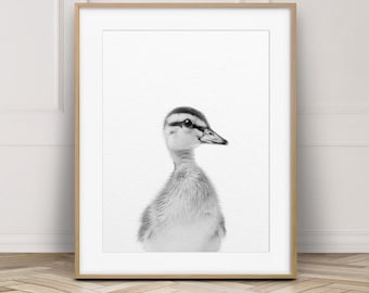Impresión de patito, arte de pared de animales de guardería, patito bebé, lindos estampados de animales de bebé, animales en blanco y negro, decoración de guardería, arte imprimible para niños