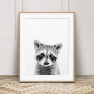 Raccoon Print, Baby Raccoon Art, Nursery Decor, Baby Animal Prints, Woodland Animals, Black & White, Baby Animals Print, Kids Printable Art