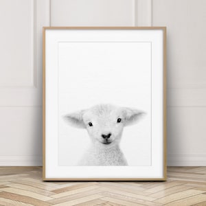 Lamb Print, Nursery Wall Art, Little Lamb Art, Farm Animal Prints, Baby Animals Art, Black & White, Nursery Decor, Kids Art, Printable Art