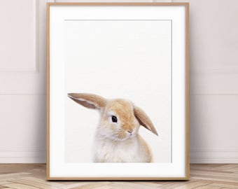 Stampa coniglietto, arredamento dell'asilo nido, stampa di coniglio, stampe di animali per bambini, arte della parete dell'asilo nido, arte degli animali per bambini, animali del bosco, arte stampabile dell'asilo nido