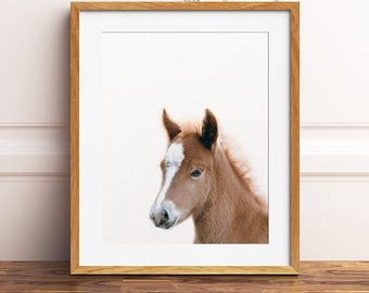 Stampa puledro, Arredamento cameretta dei bambini, Stampa cavallo bambino, Arte puledro, Arte delle pareti della cameretta dei bambini, Animali da fattoria, Arte della cameretta dei bambini, Stampe di animali per bambini, Camera dei bambini stampabile