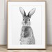 Nursery Decor, Rabbit Print, Standing Bunny Print, Nursery Wall Art, Woodland Animals, Baby ...