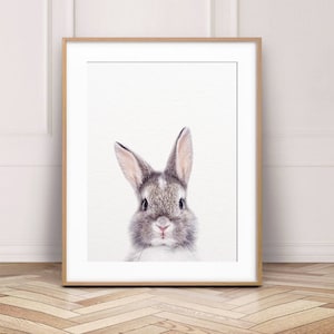 Nursery Wall Art, Nursery Decor, Rabbit Print, Bunny Photo, Little Bunny Print, Woodlands Animal, Cute Baby Animals, Kids Room Printable Art