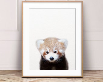 Baby Red Panda Print, Nursery Decor, Baby Animal Prints, Nursery Wall Art, Red Panda Art, Woodland Animals Wall Art, Kids Room Printable Art