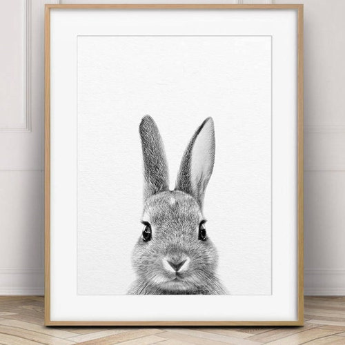 Rabbit Print Bunny Art Print Black White Animal Cute Baby Etsy
