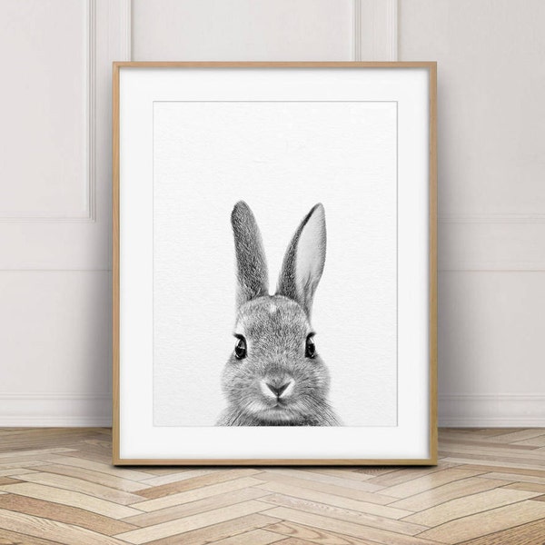 Rabbit Print, Bunny Art Print, Black & White Animal, Cute Baby Animals, Woodland Animal, Nursery Wall Art, Nursery Decor, Kids Printable Art