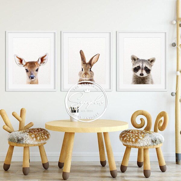 Waldtiere Kinderzimmer Dekor, Baby Tiere 3er Set, Hase, Hirsch, Waschbär, Kinderzimmer Tier Wandkunst, Waldtiere Druckbare Kunst