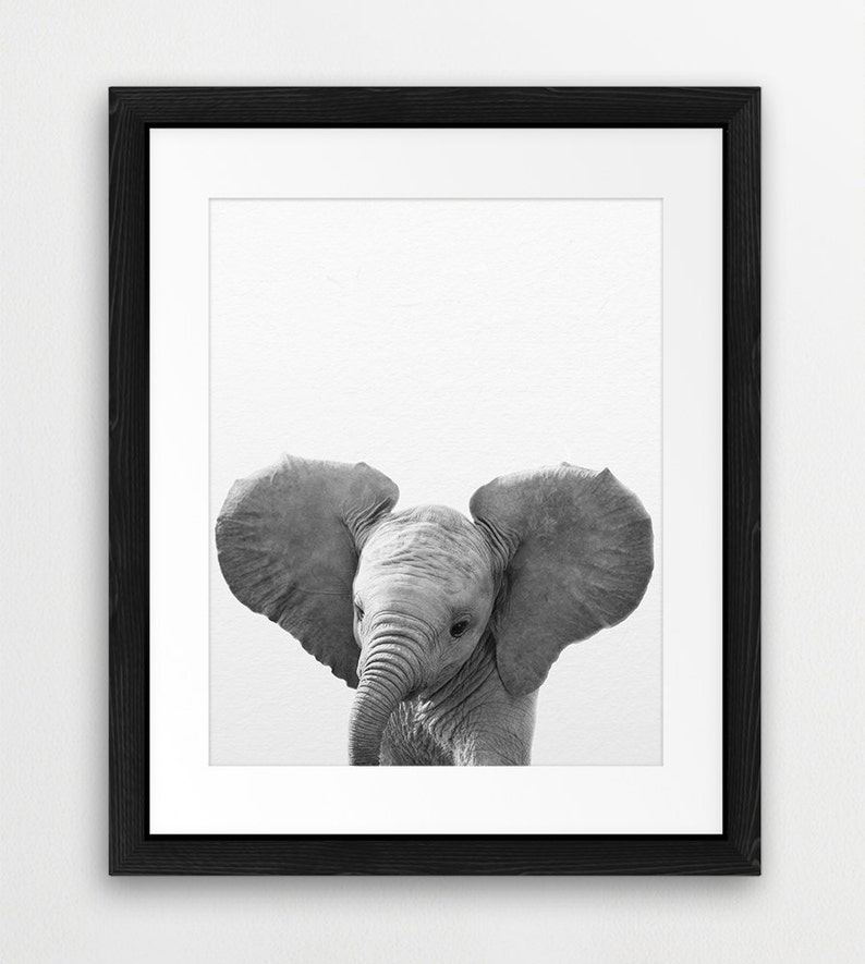 Elephant Print Nursery Animal Wall Art Baby Elephant Art Etsy