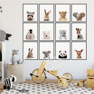 Nursery Animals Prints, Baby Animals Set 12, Nursery Decor, Woodland ...