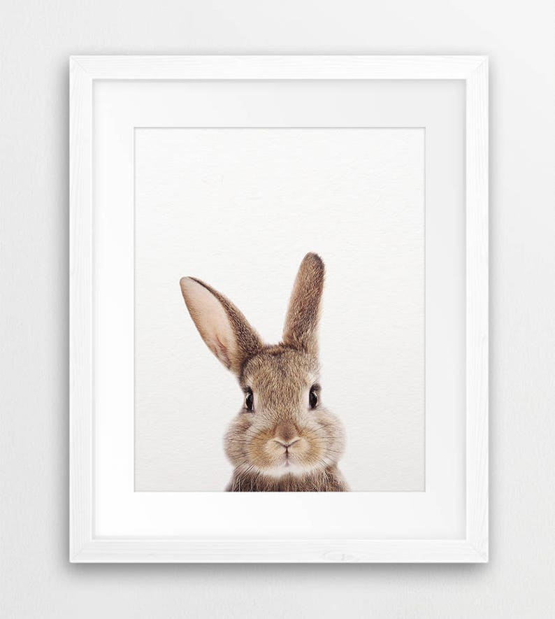 Rabbit Print Woodland Nursery Decor Bunny Rabbit Print Etsy