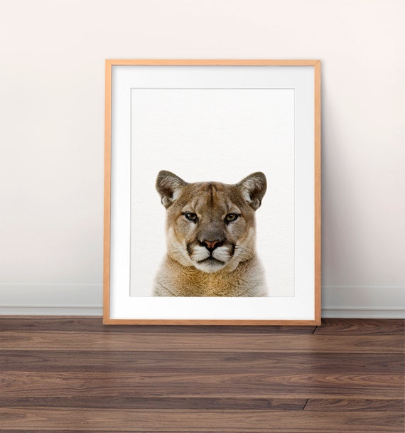Buy Puma Print Cougar Photo Mountain Lion Print Forest Animal Online in India - Etsy Buy Puma Print Cougar Photo Mountain Lion Print Forest Animal Online in India - Etsy