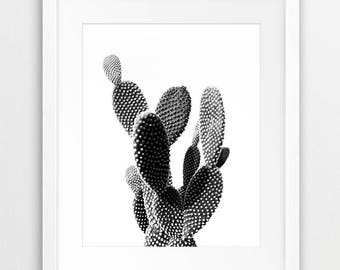 Cactus Print, Desert Wall Art, Cactus Photo Black And White, Desert Photography, Modern Wall Art, Home Office Decor, Digital Printable Art