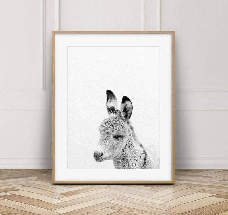 Donkey Print Baby Donkey Wall Art Nursery Decor Black & Etsy